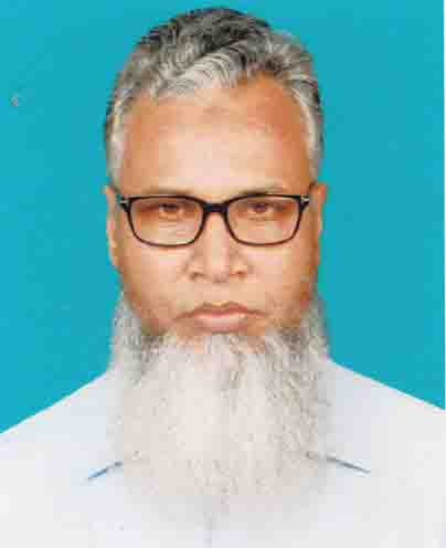 মো : সেলিম মৃধা
